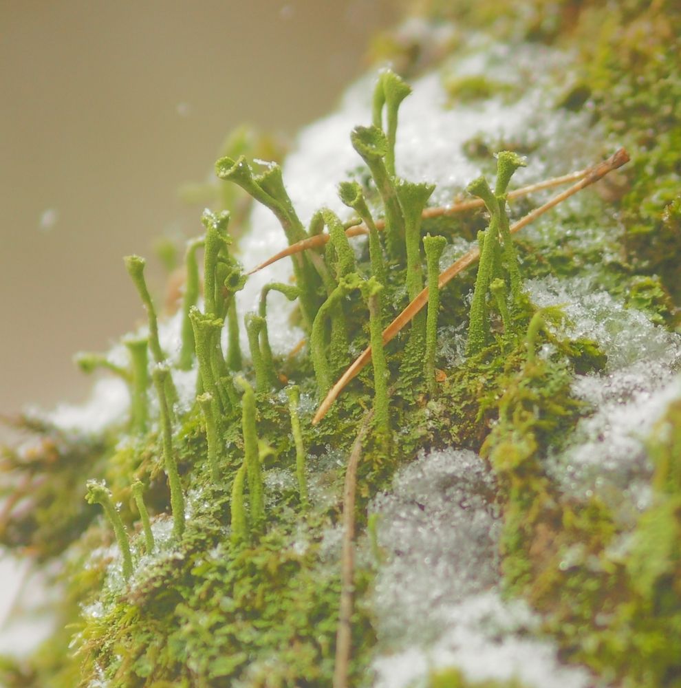 Photograph by Svetlana Aleks