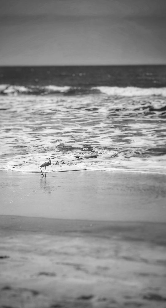 Photograph by Kavi priya G