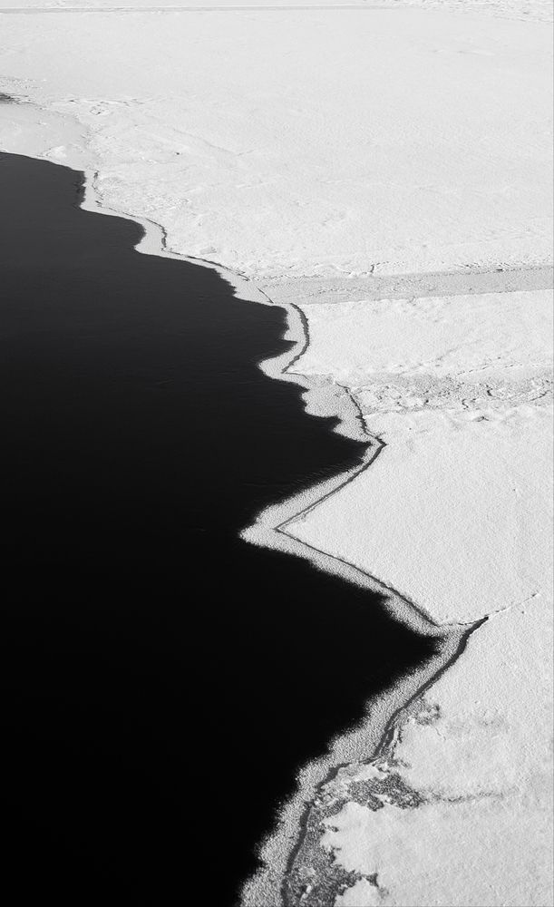 Photo #11915971