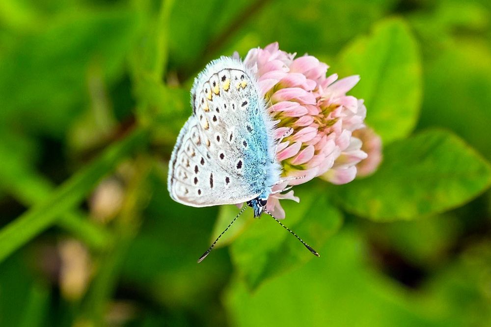 Фотография автора Наталья Липовская
