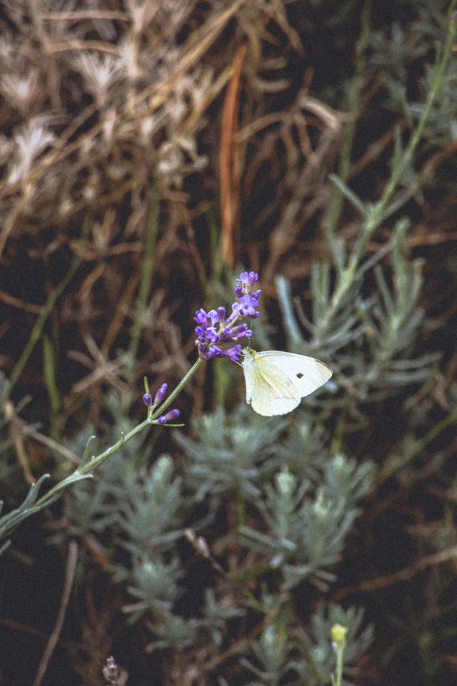 Photograph by Христина Сергейчик
