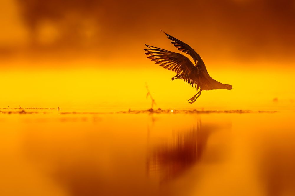 Фотография автора Patryk Kurc