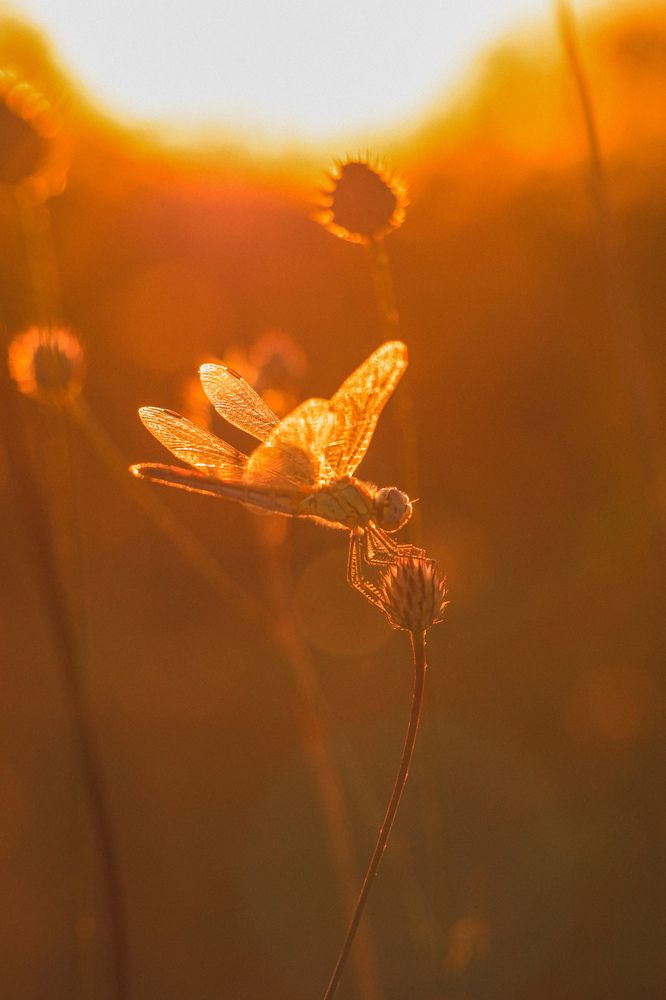 Photograph by Христина Сергейчик