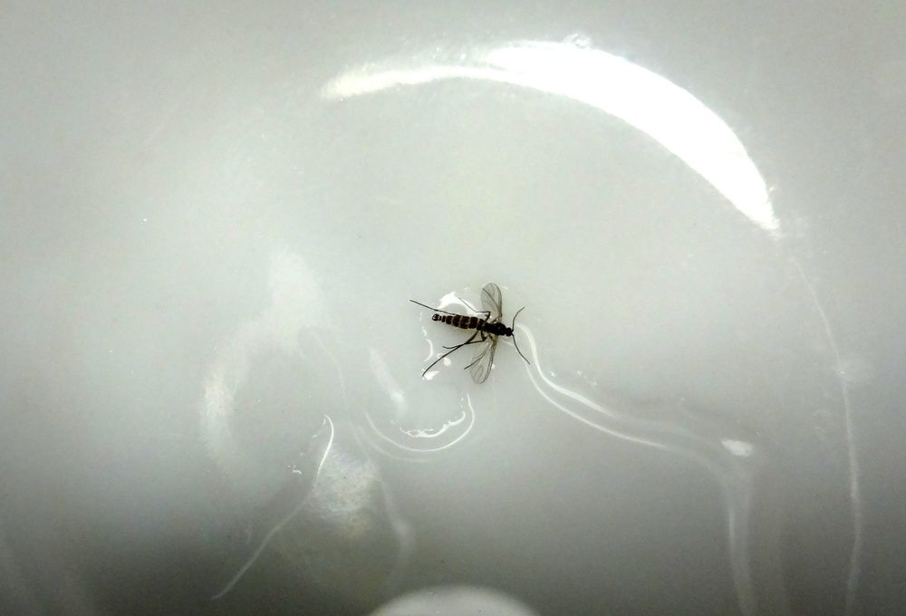 Photograph by Сергей Хвостовец