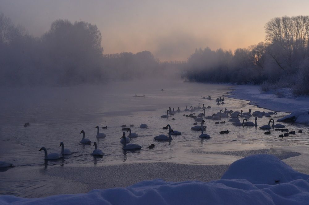 Photograph by Альфия Бикмухаметова