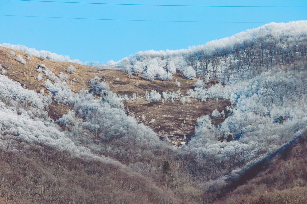 Photograph by Христина Сергейчик