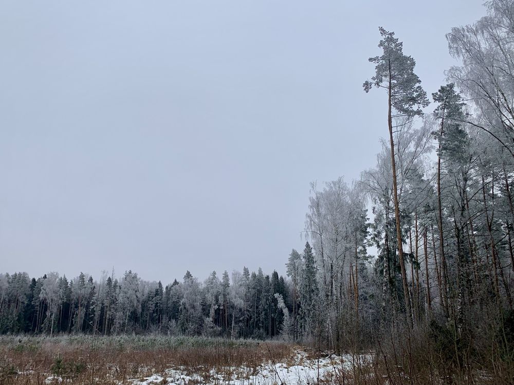 Photograph by Кира Иванова