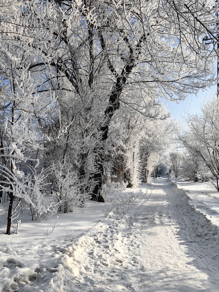 Photograph by Анастасия Ермакова