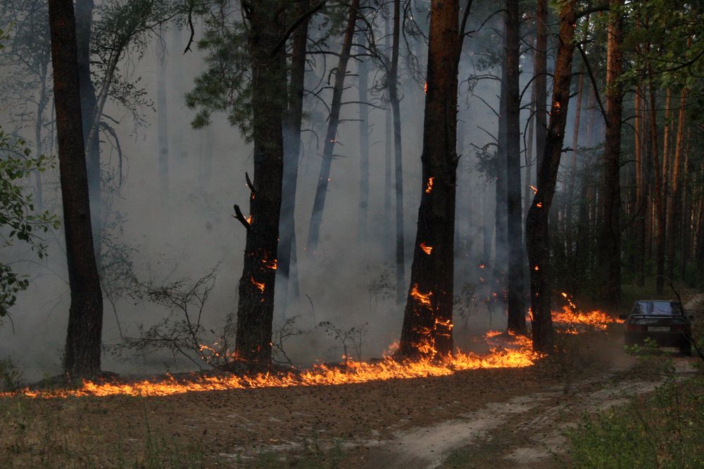 Photograph by Евгения Емельянова