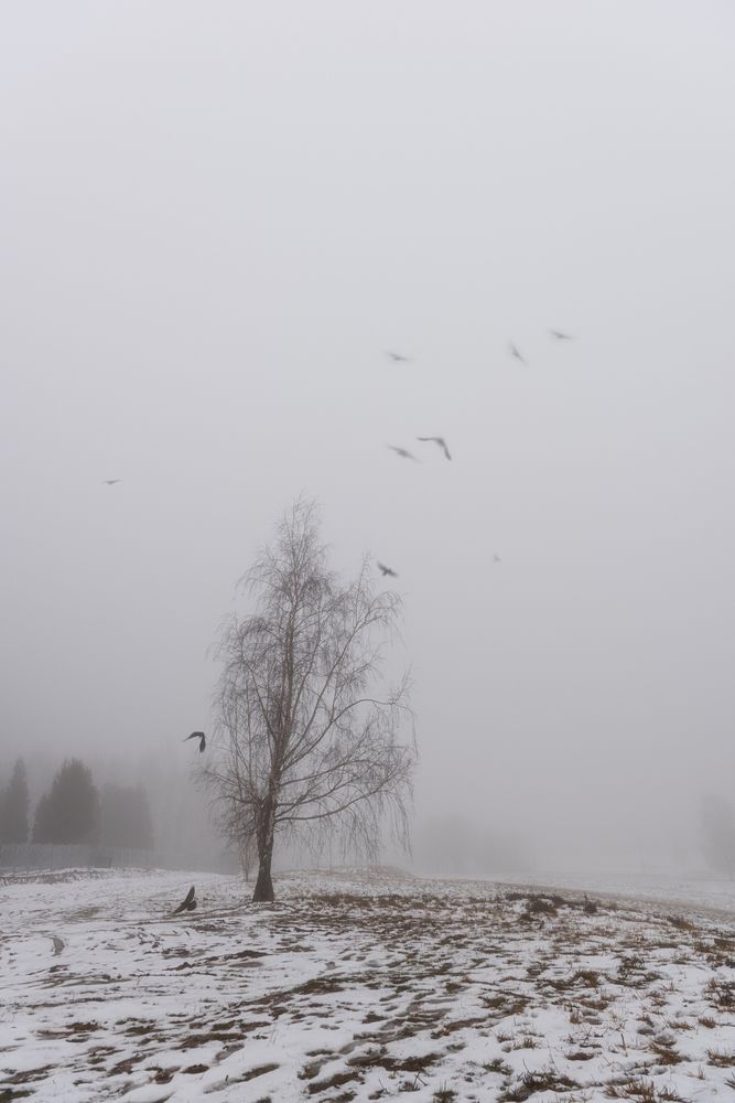 Photograph by Полина Хрол