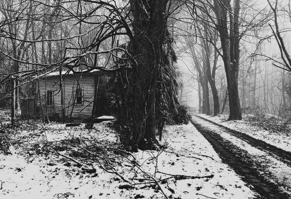 Фотография автора caroline martin (dony)