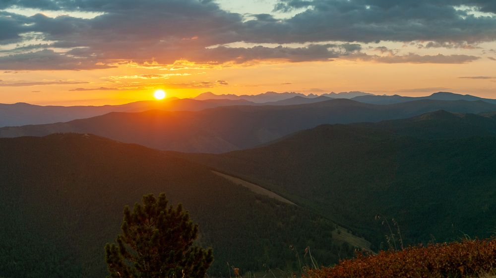 июльский рассвет