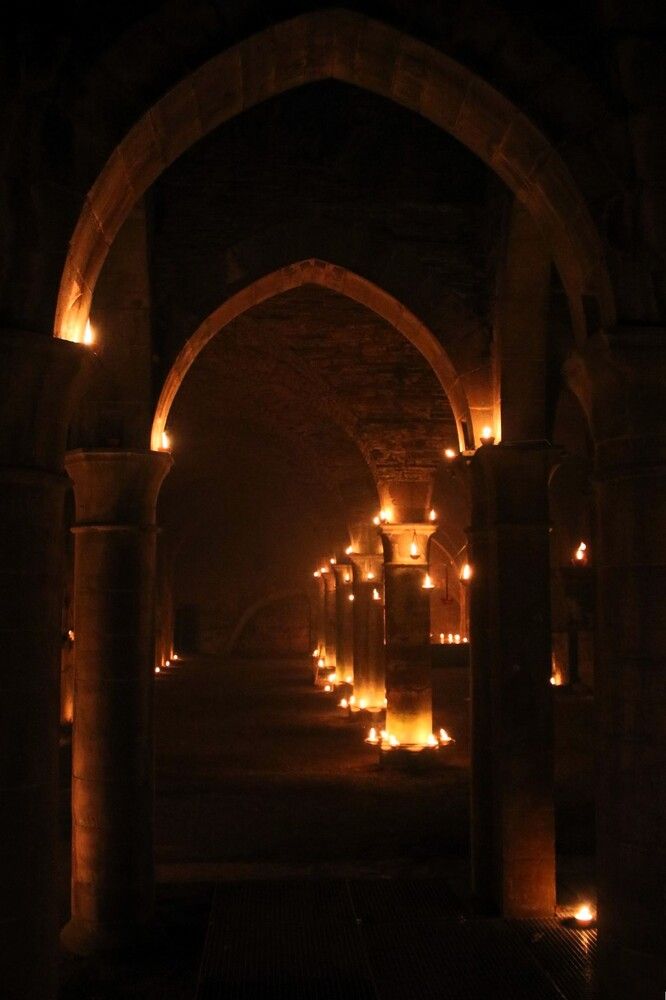 Фотография автора caroline martin (dony)