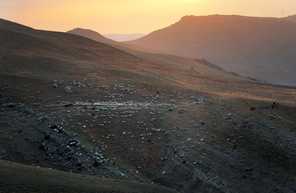 Photograph by Magov Marat