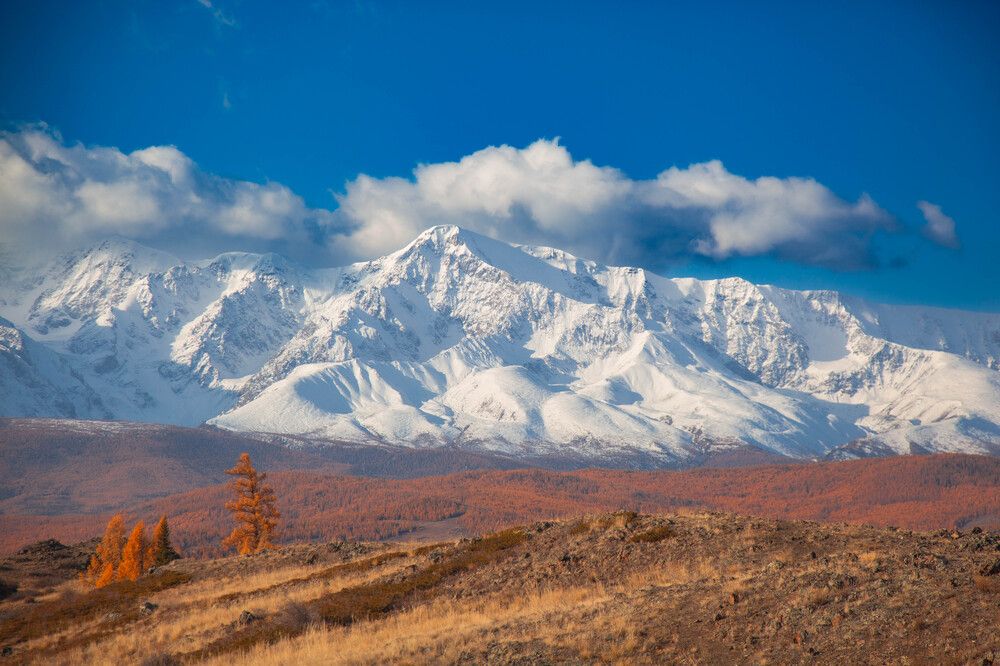 Photograph by Никита Караваев