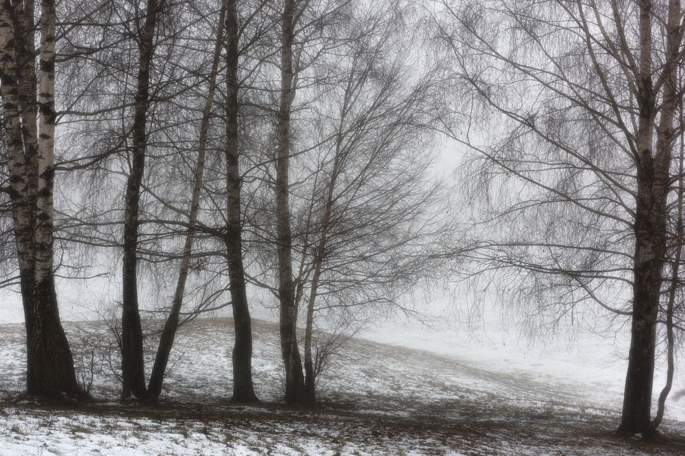 Photograph by Полина Хрол