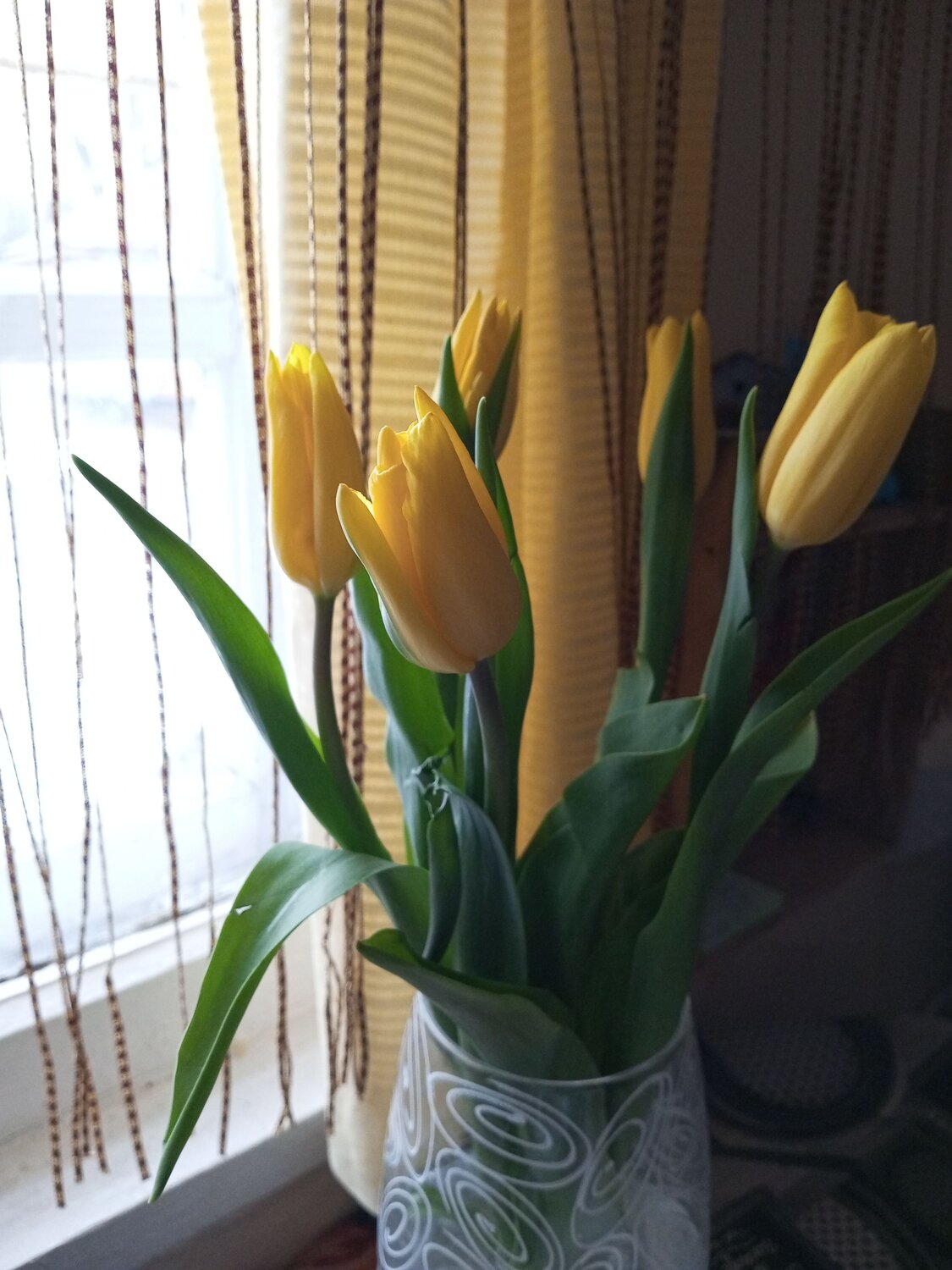 Photo #11916301