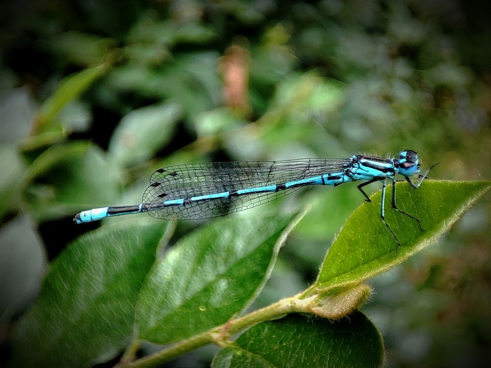 Photograph by Лолита Богачева