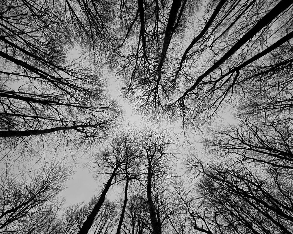 Photograph by Ольга Осинина