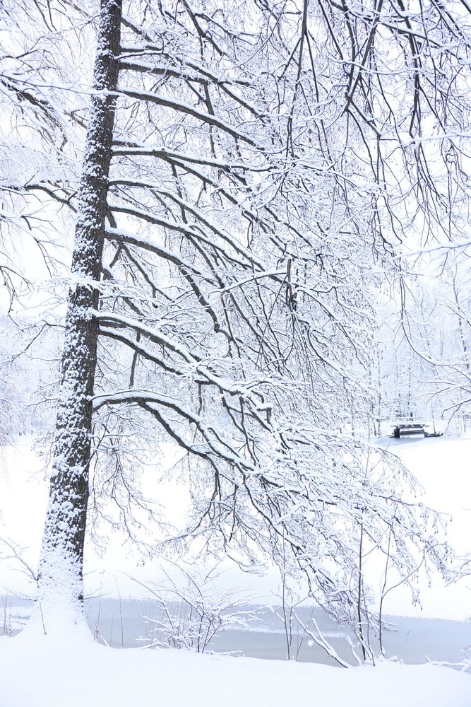 Фотография автора Natalia Kuzmina