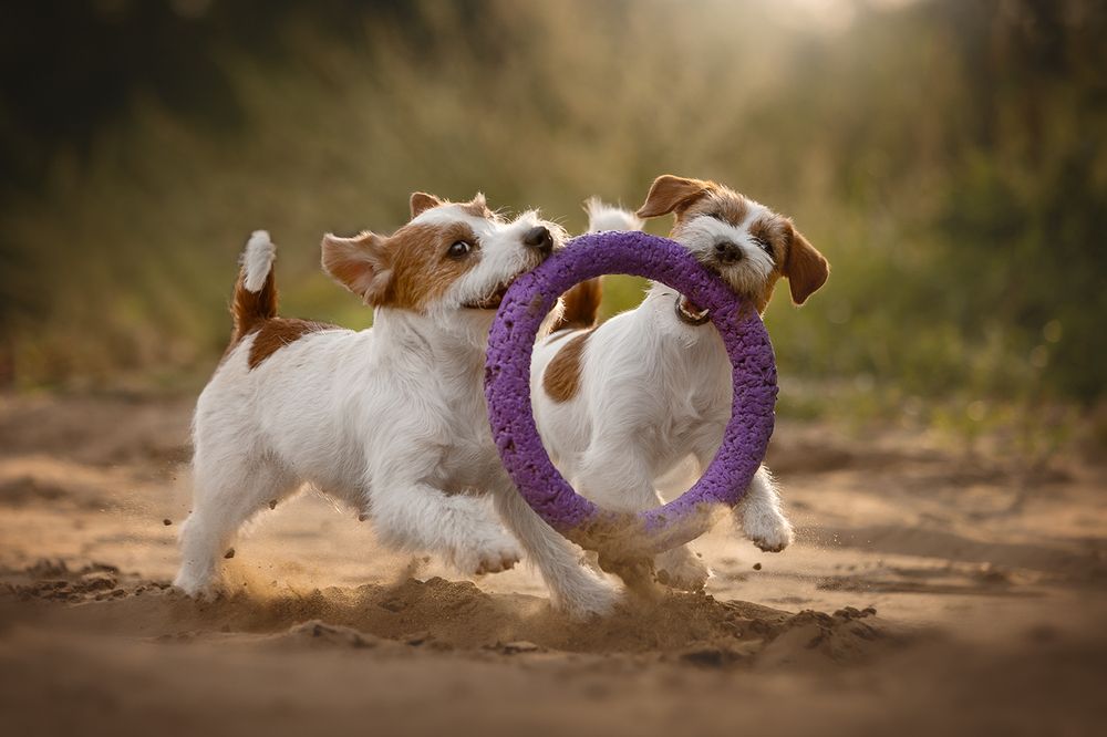 Photograph by Ольга Легенькая