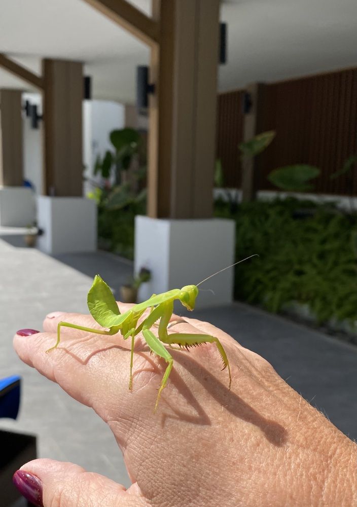 Фотография автора Олег Фотин