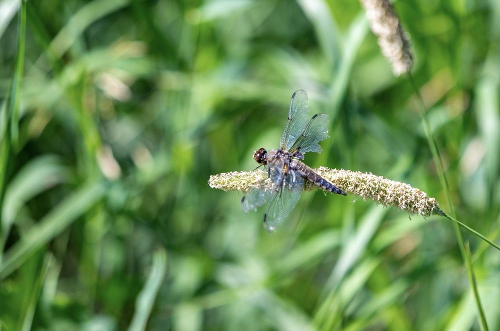 Фотография автора Олег Фотин