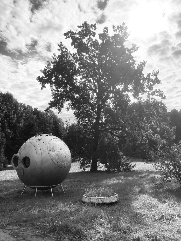 Photograph by Светлана