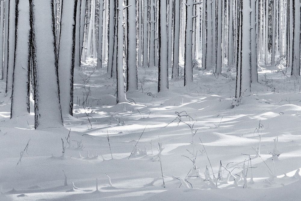 снегoграмма