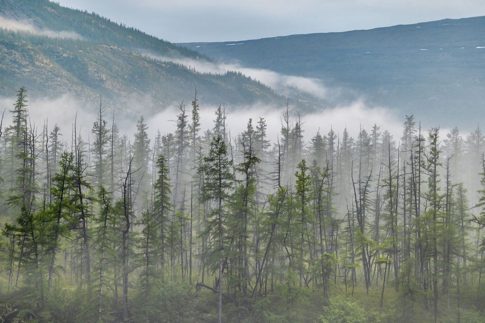 Облачный этюд