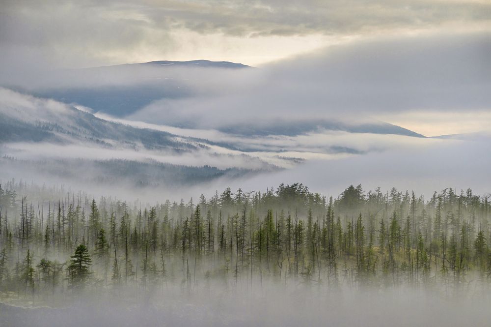 Облачный этюд