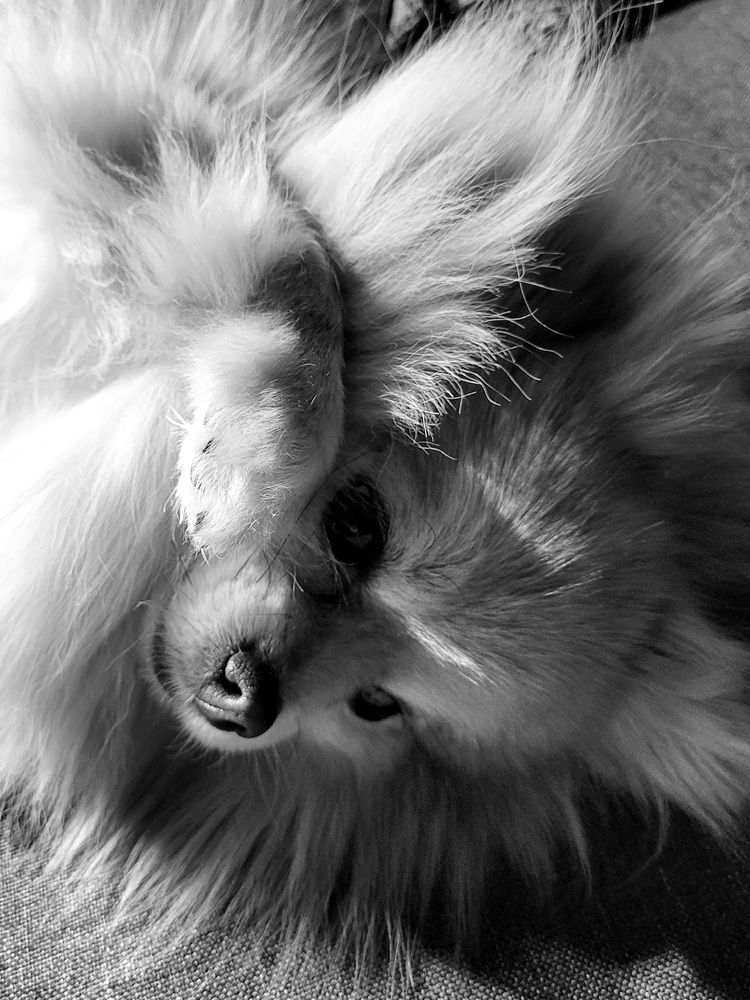 Photograph by Svetlana Hirvonen