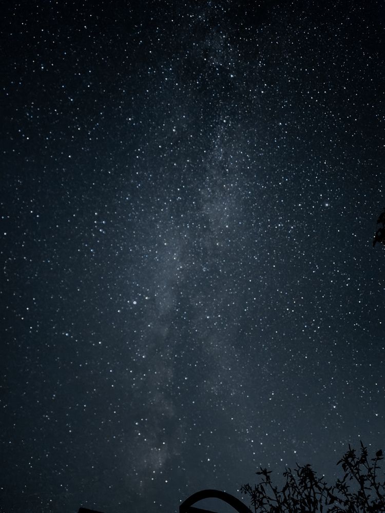 Photograph by Алина Орлова