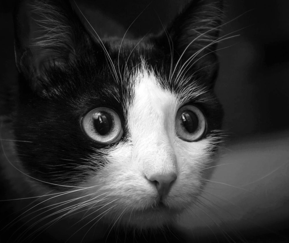 Photograph by Алина