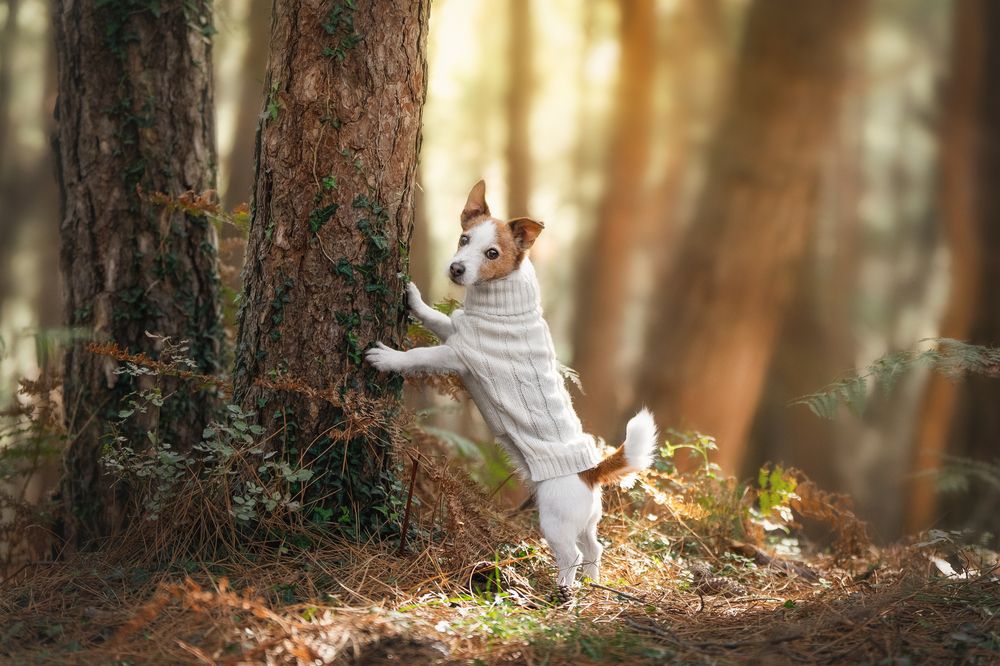 Photograph by Андрианова Ирина