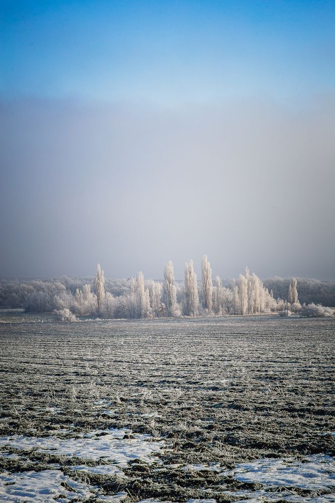 Photograph by Филипп Бабенко