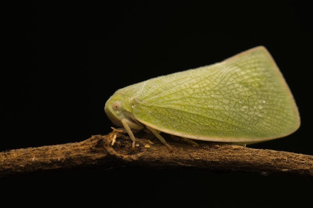 Фотография автора Ashir Kumar