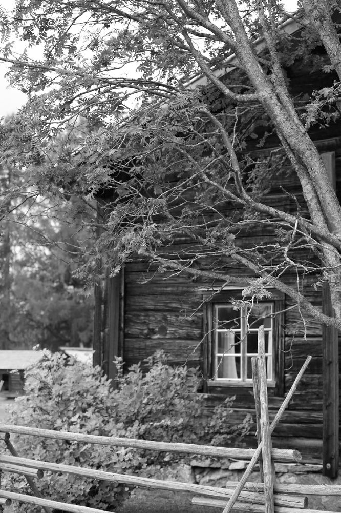 Photograph by Svetlana Hirvonen