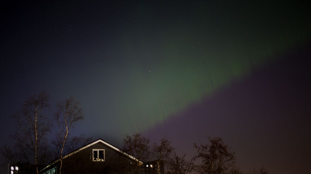 Photograph by Настасья Андреевна