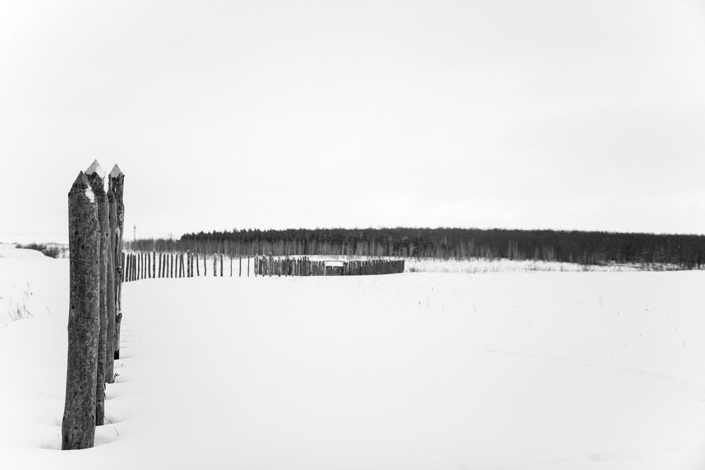 Photograph by Илья Малышев