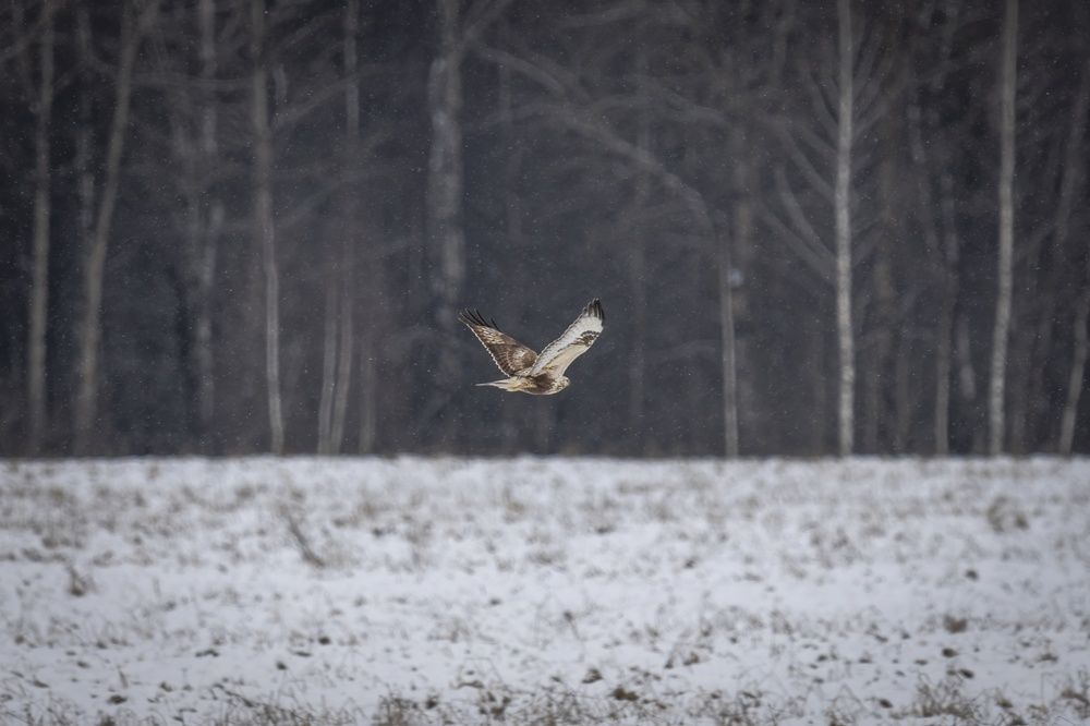 Photograph by Хабаров Сергей
