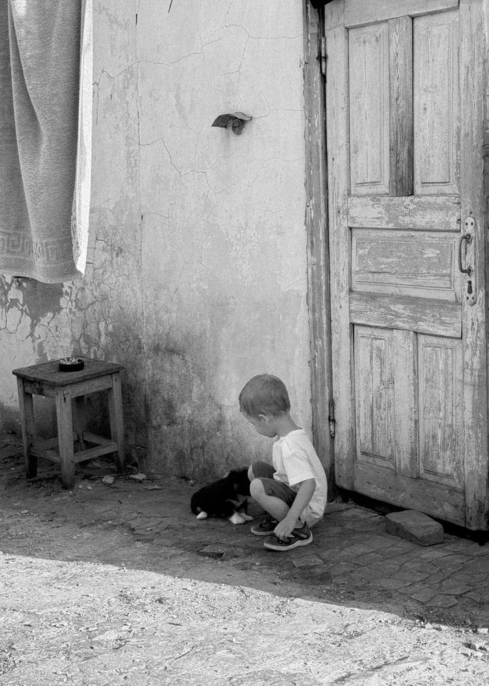 Photograph by Анна Голубцова