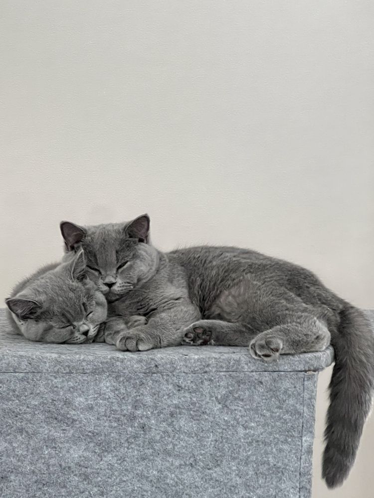 Photograph by Fakhrutdinova Anna