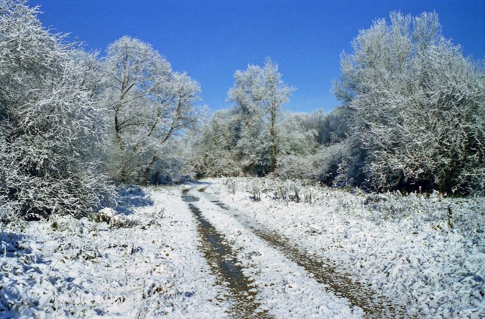 Photograph by Георгий Волков