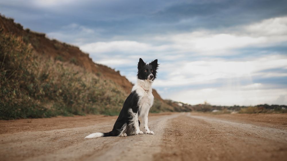 Photograph by Настасья Андреевна