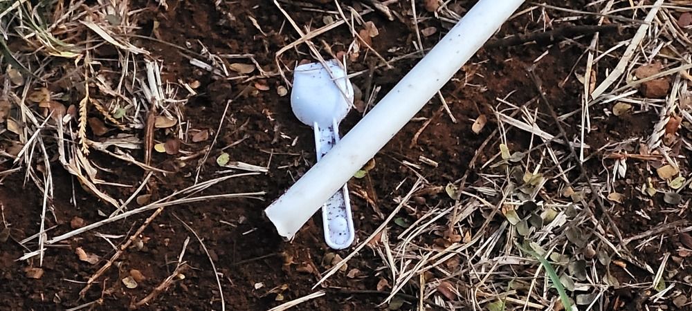 Photograph by Gilson Marcos Ferreira de OLIVEIRA