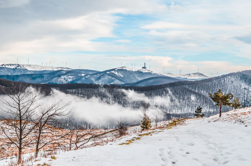Photograph by Валерий Кондратцев