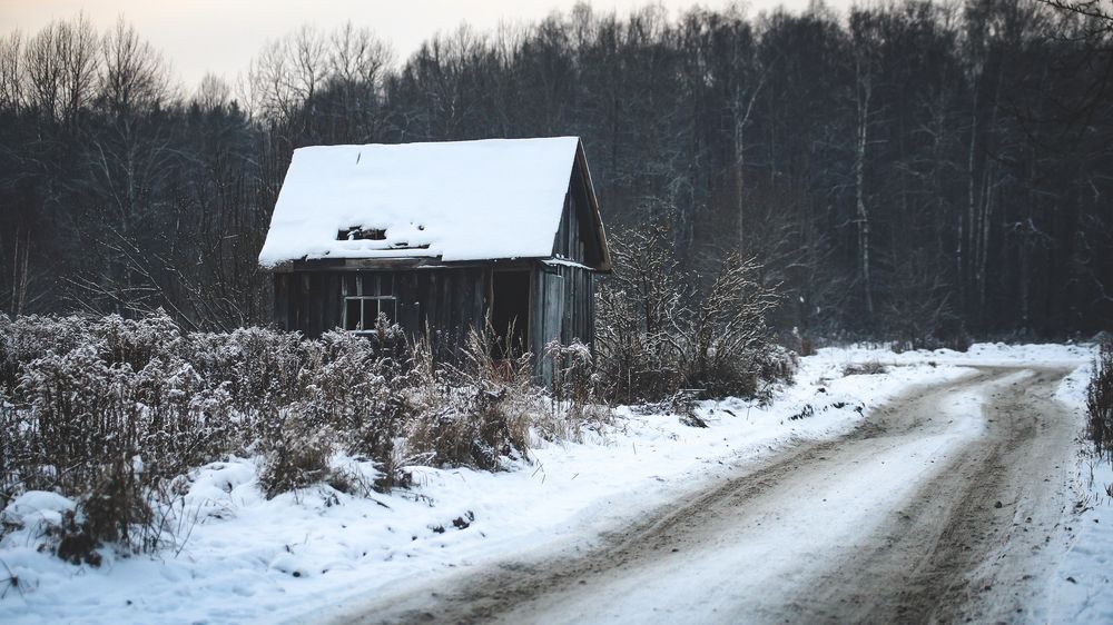 Photograph by Настасья Андреевна