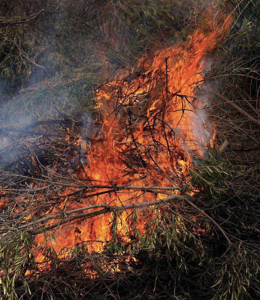 Photograph by Raed Victor Saad