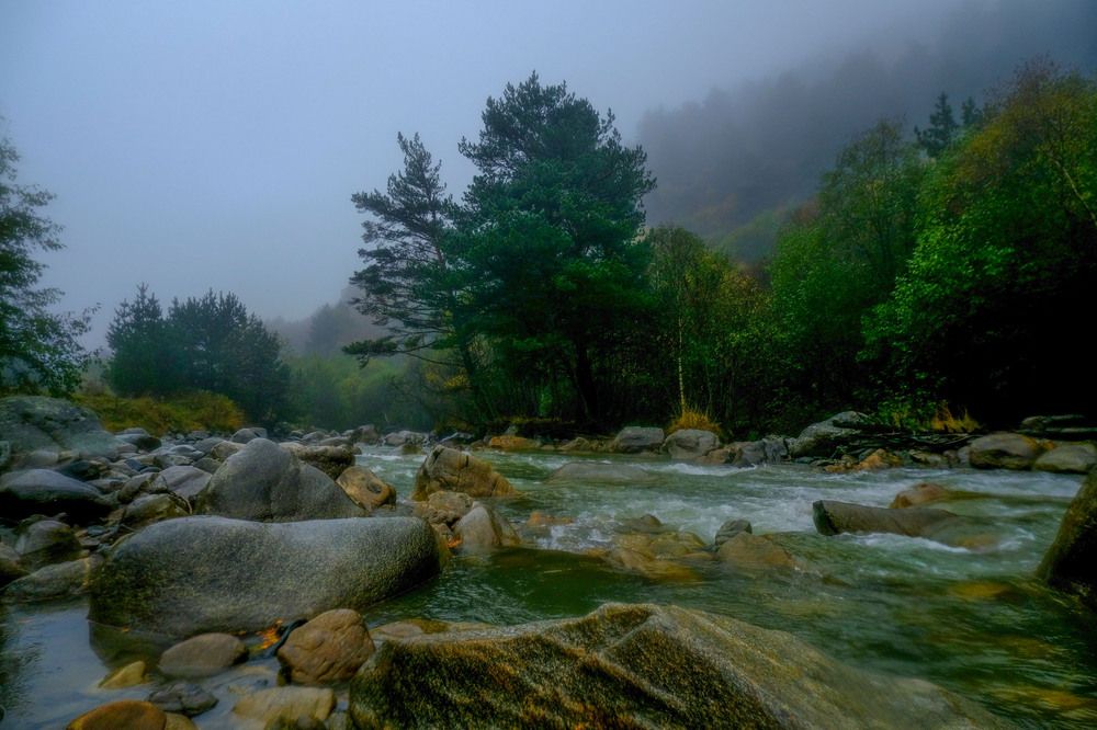 Фотография автора Александра Барнагян